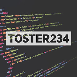 toster234